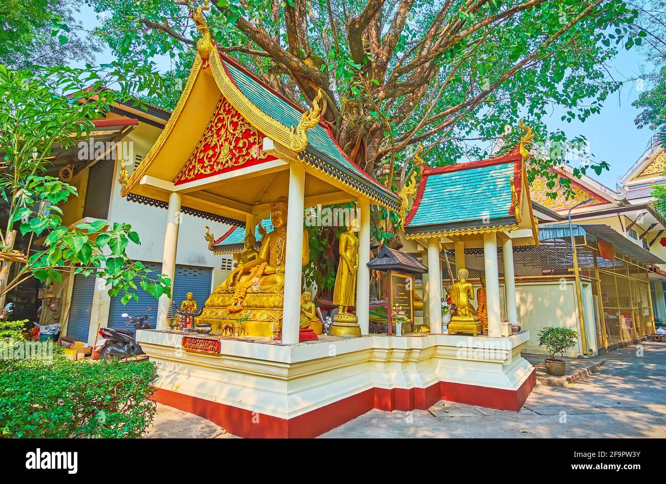 L'arbre Bodhi et les petits sanctuaires magnifiques autour de lui dans le temple Wat Phra Kaew, Chiang Rai, Thaïlande Banque D'Images