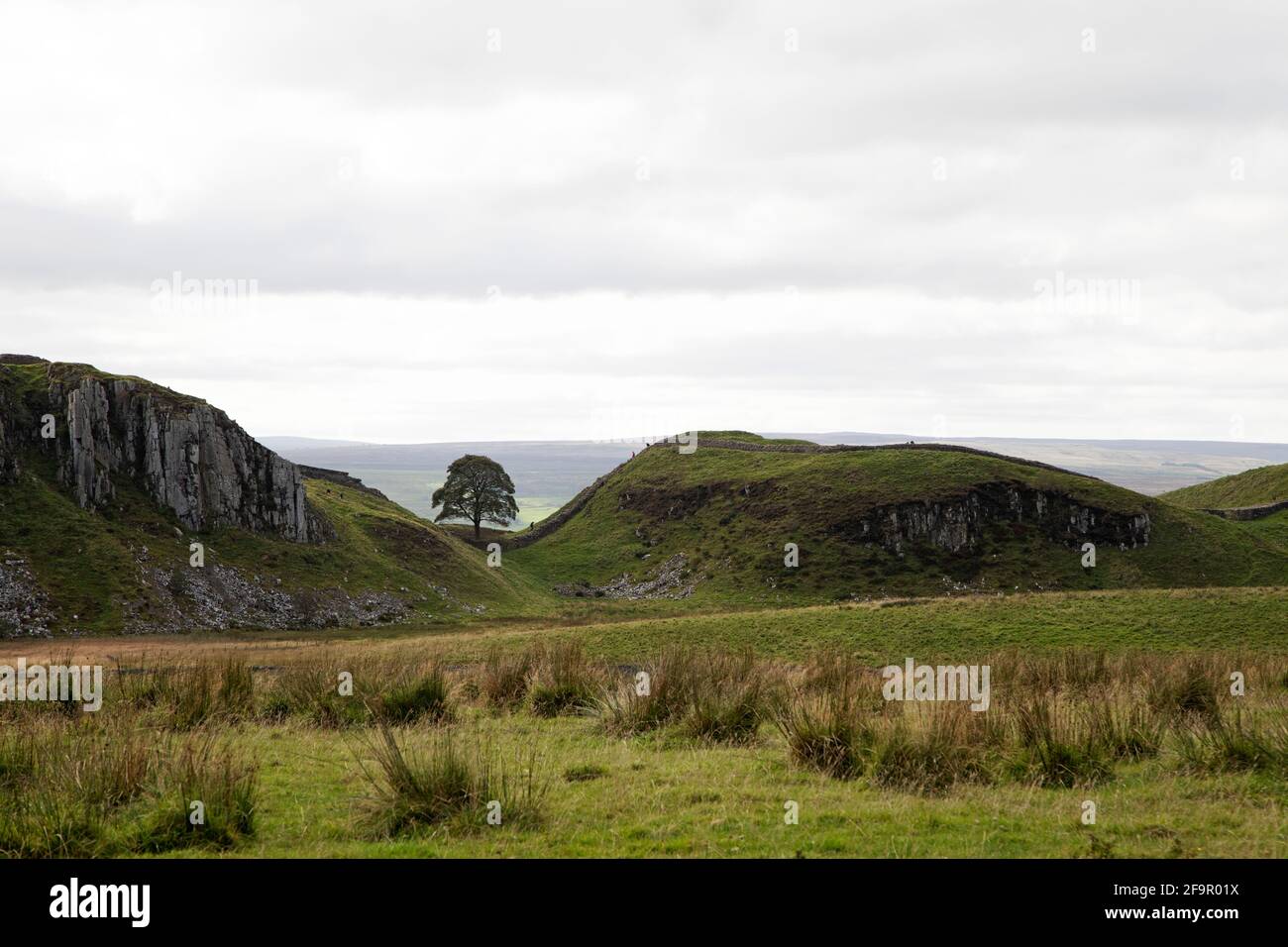 Sycamore Gap sur le mur d'Hadrien à Northumberland, en Angleterre. L'ancien monument fait partie de la place des frontières de l'Empire romain classée au patrimoine mondial de l'UNESCO Banque D'Images