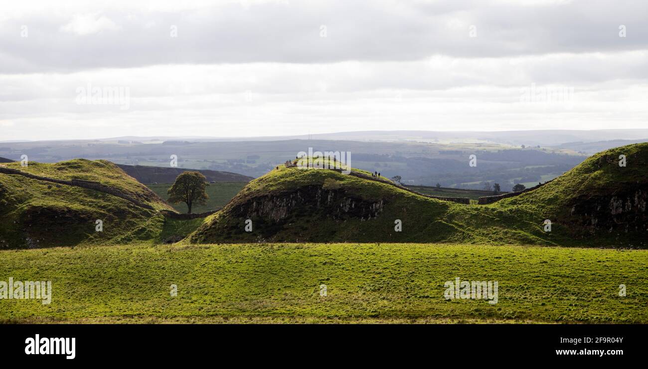 Sycamore Gap sur le mur d'Hadrien à Northumberland, en Angleterre. L'ancien monument fait partie de la place des frontières de l'Empire romain classée au patrimoine mondial de l'UNESCO Banque D'Images