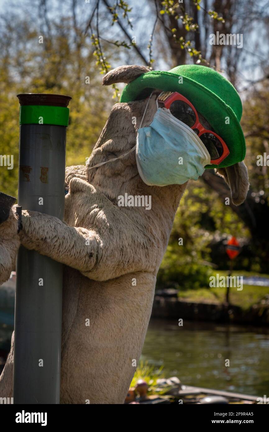 Un chien en peluche a été attaché à un poteau à côté d'une péniche. Il porte un masque facial, des lunettes de soleil et un chapeau melon vert. Banque D'Images