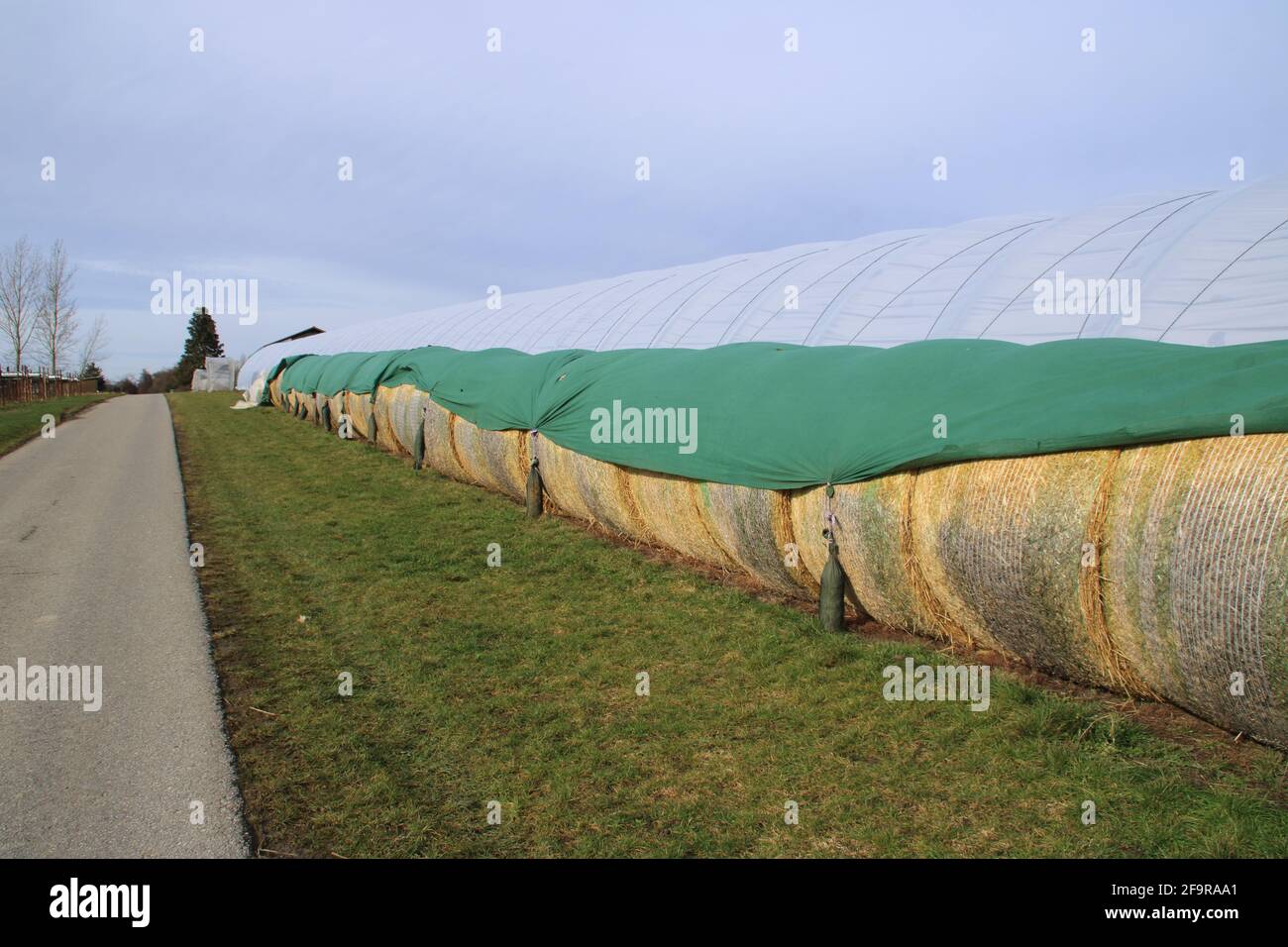 Les balles de foin sont protégées de la pluie par une bâche Photo Stock Alamy