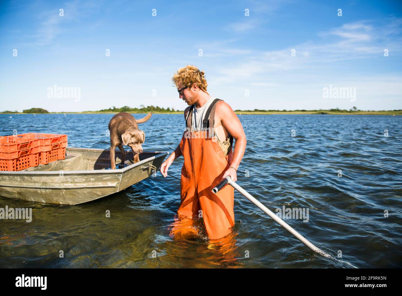 Jeune homme travaillant sur l'eau dans la ferme d'huîtres d'aquaculture avec chien Banque D'Images