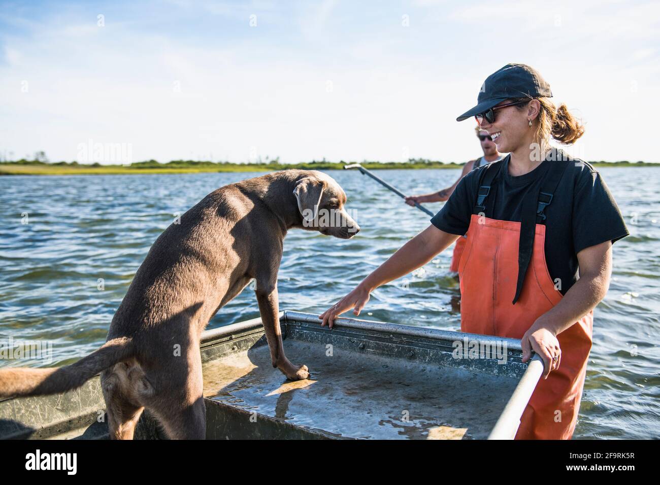 Femme et chien travaillant sur l'eau dans l'huître d'aquaculture ferme Banque D'Images