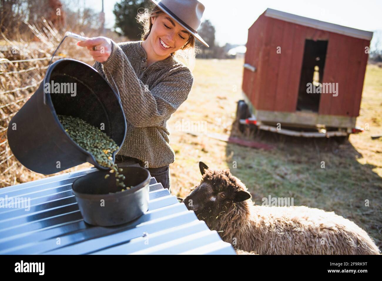 Femme travaillant à la ferme avec poulet coop nourrissant des moutons Banque D'Images