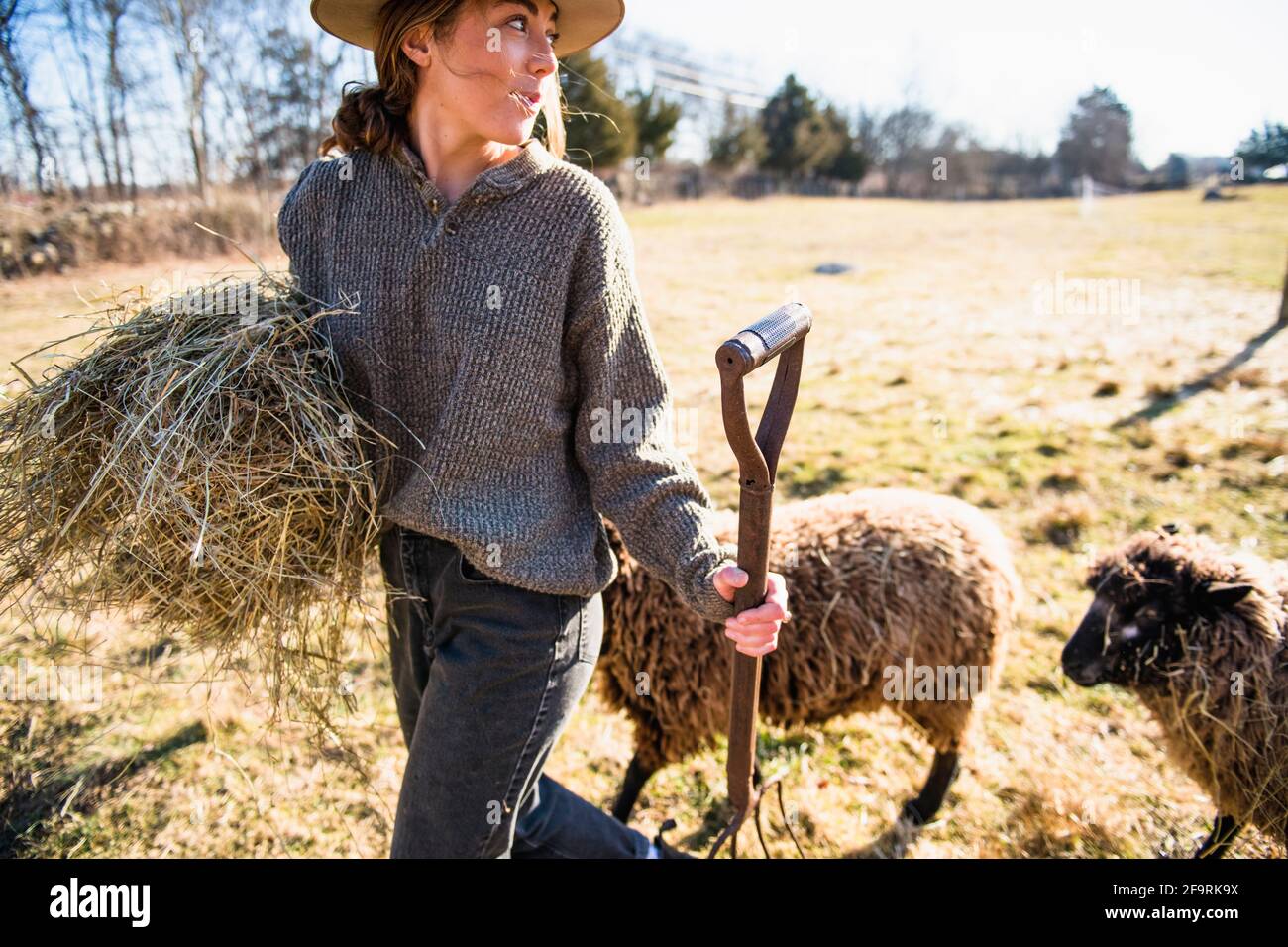 Femme avec foin et fourche travaillant sur la ferme nourrissant des moutons Banque D'Images