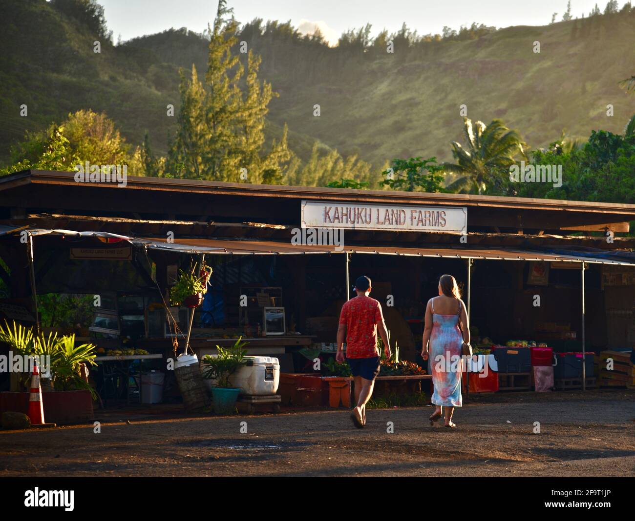 Des jeunes couples magasinent au coucher du soleil sur le stand de marché de la ferme situé sur le bord de la route à Kahuku Land Farms, sur la rive nord d'Oahu, près de Turtle Bay Resort, Hawaii, États-Unis Banque D'Images