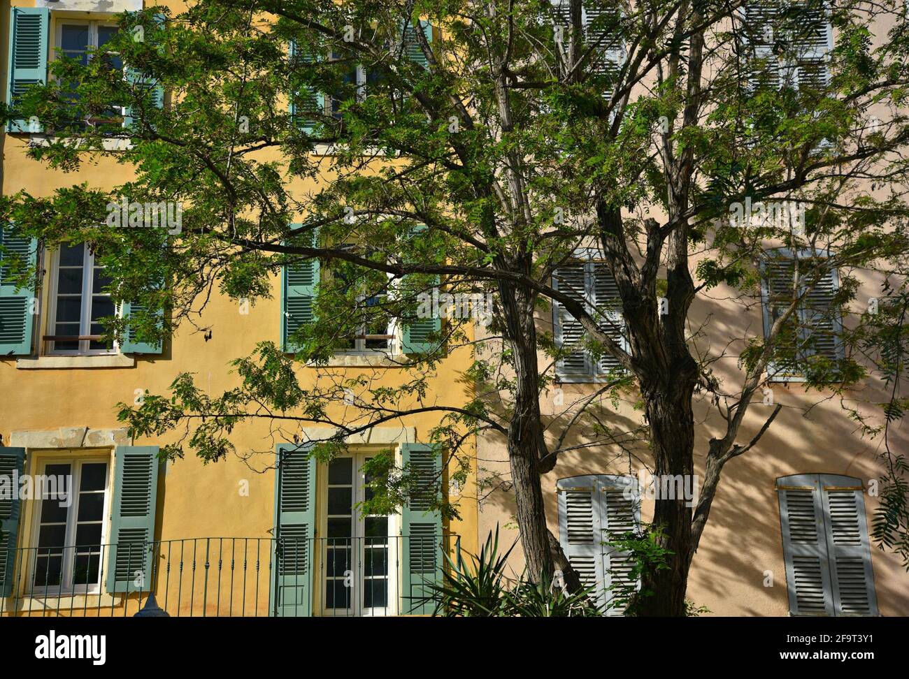 Façade de maison de style provençal avec un mur en stuc ocre et des volets en bois vert olive à Saint-Tropez, Côte d'Azur. Banque D'Images