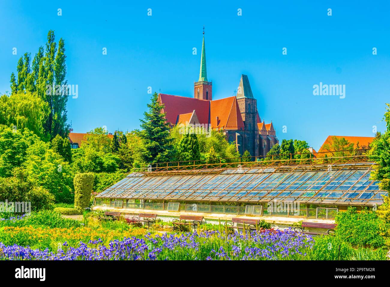 Église de la Sainte-Croix et Saint-Bartholomée vues depuis le jardin botanique de l'université à Wroclaw, en Pologne Banque D'Images