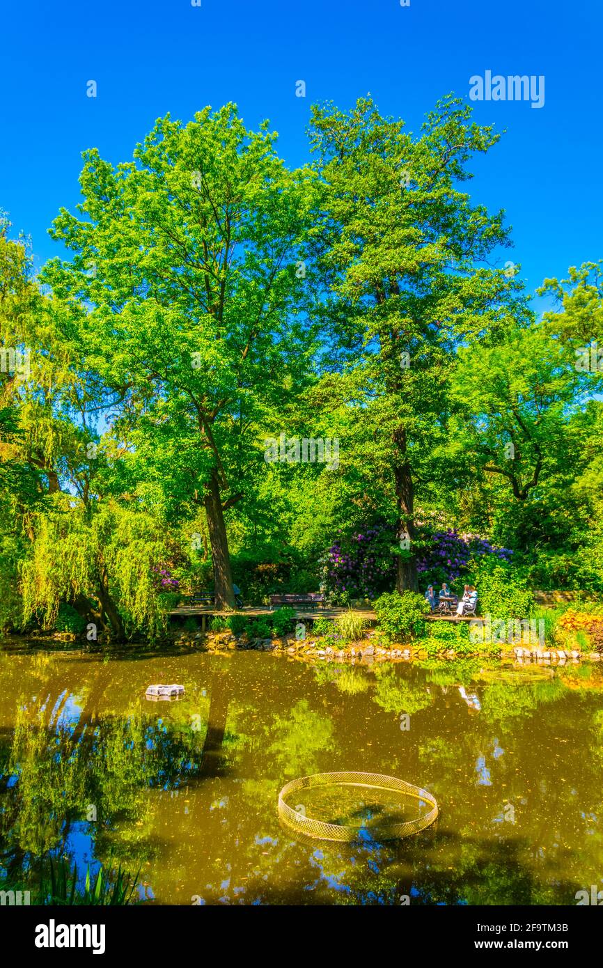 Un lac ornemental à l'intérieur du jardin botanique de l'Université de Wroclaw, Pologne Banque D'Images