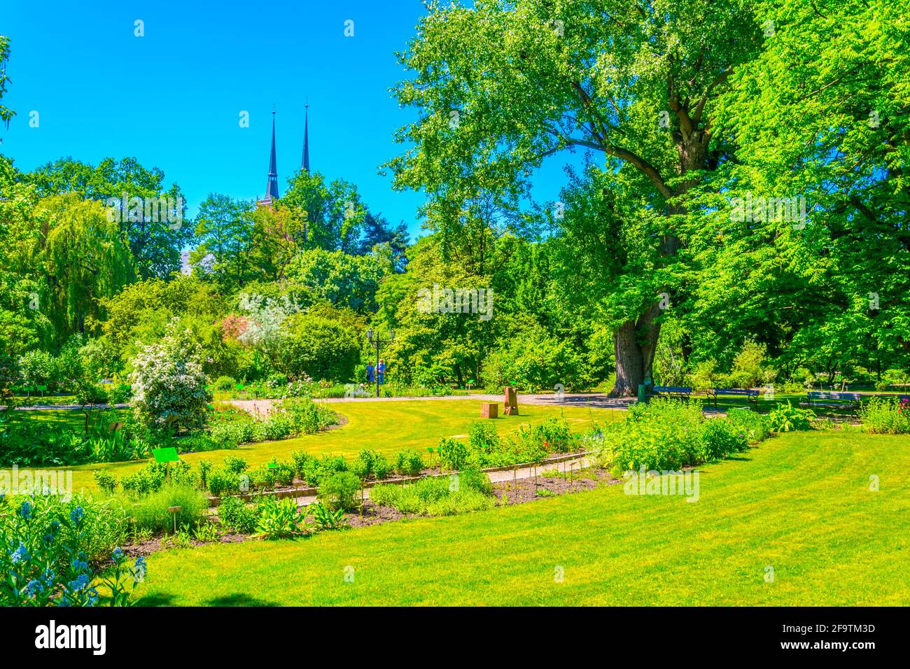 Jardin botanique de l'Université de Wroclaw, Pologne Banque D'Images