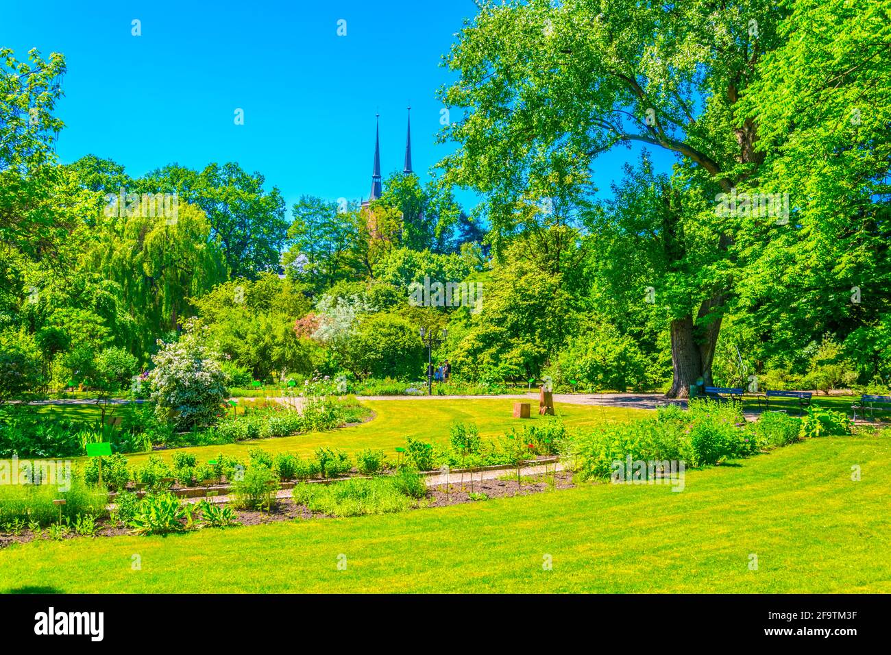 Jardin botanique de l'Université de Wroclaw, Pologne Banque D'Images