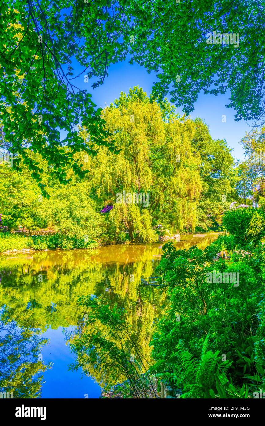 Un lac ornemental à l'intérieur du jardin botanique de l'Université de Wroclaw, Pologne Banque D'Images