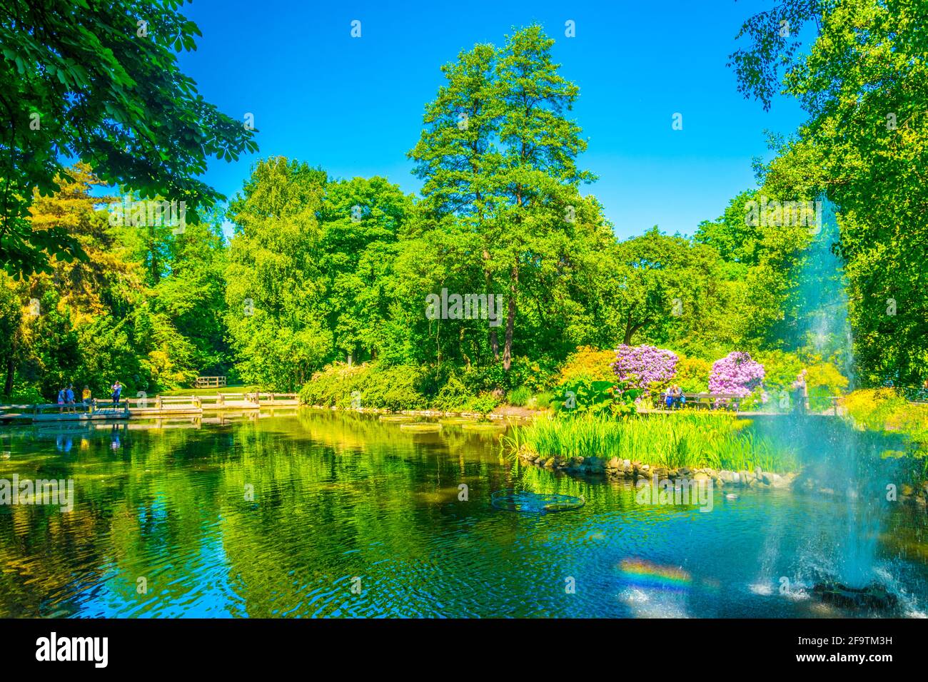 Un lac ornemental à l'intérieur du jardin botanique de l'Université de Wroclaw, Pologne Banque D'Images