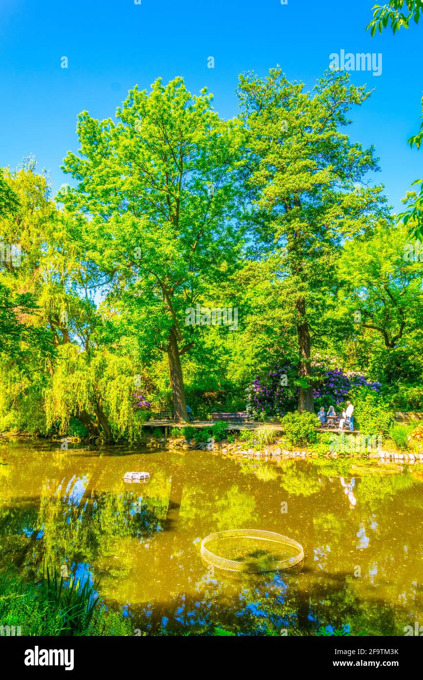 Un lac ornemental à l'intérieur du jardin botanique de l'Université de Wroclaw, Pologne Banque D'Images