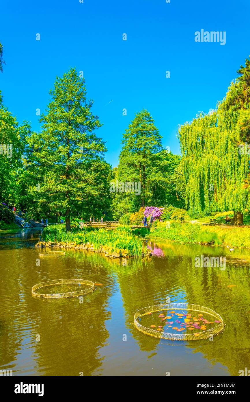 Un lac ornemental à l'intérieur du jardin botanique de l'Université de Wroclaw, Pologne Banque D'Images