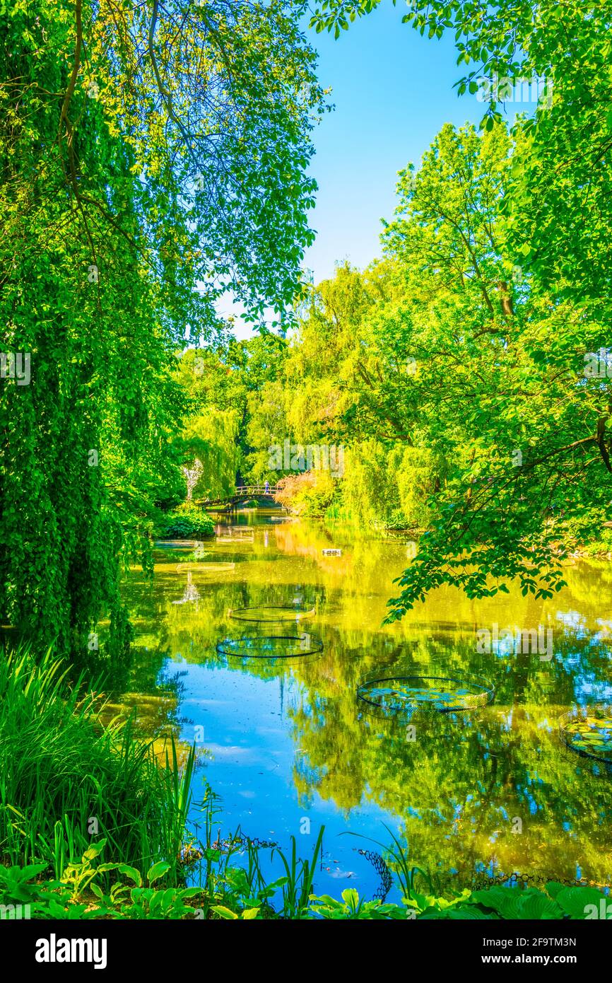 Un lac ornemental à l'intérieur du jardin botanique de l'Université de Wroclaw, Pologne Banque D'Images