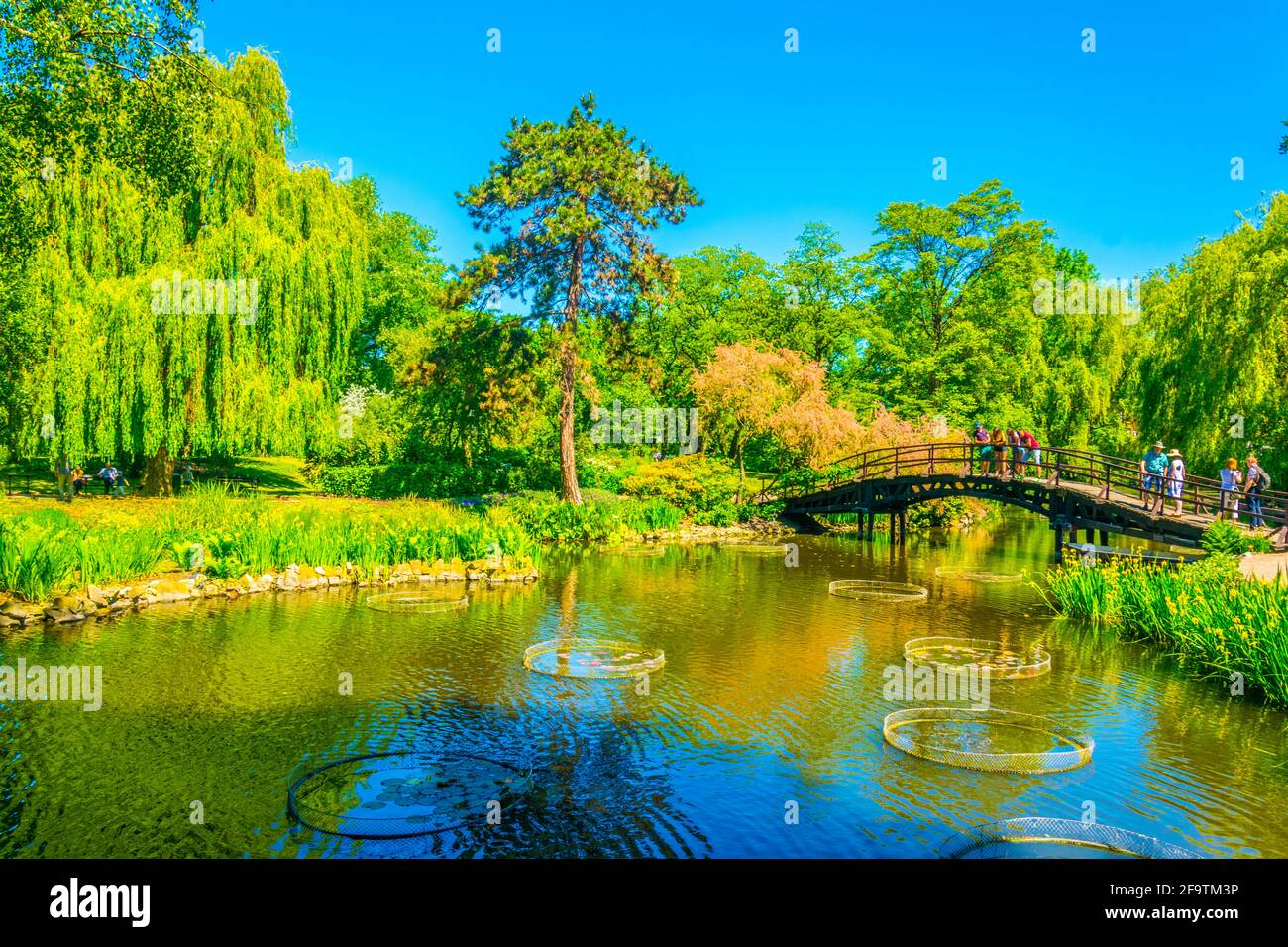 Un lac ornemental à l'intérieur du jardin botanique de l'Université de Wroclaw, Pologne Banque D'Images