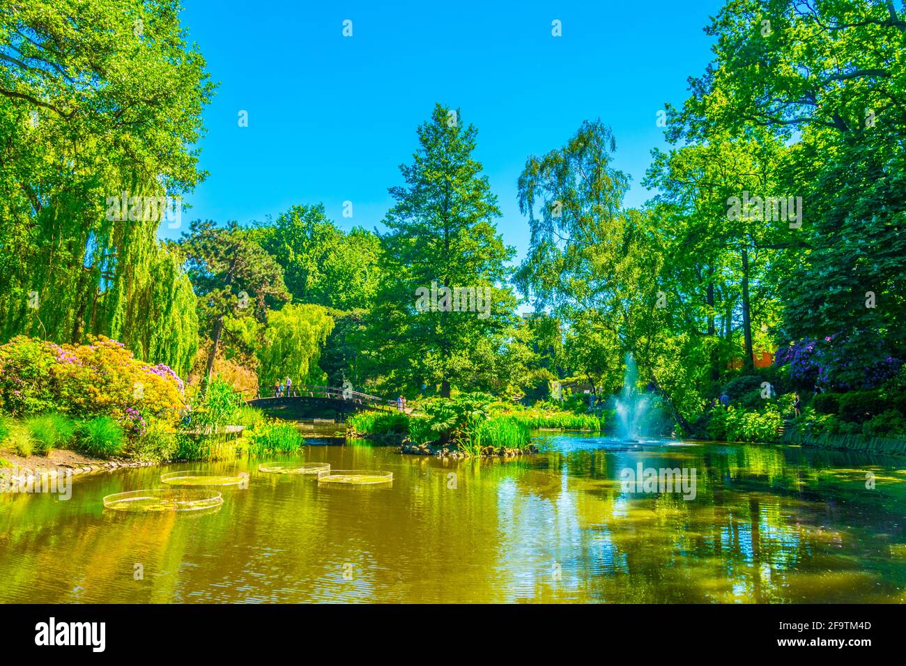Un lac ornemental à l'intérieur du jardin botanique de l'Université de Wroclaw, Pologne Banque D'Images