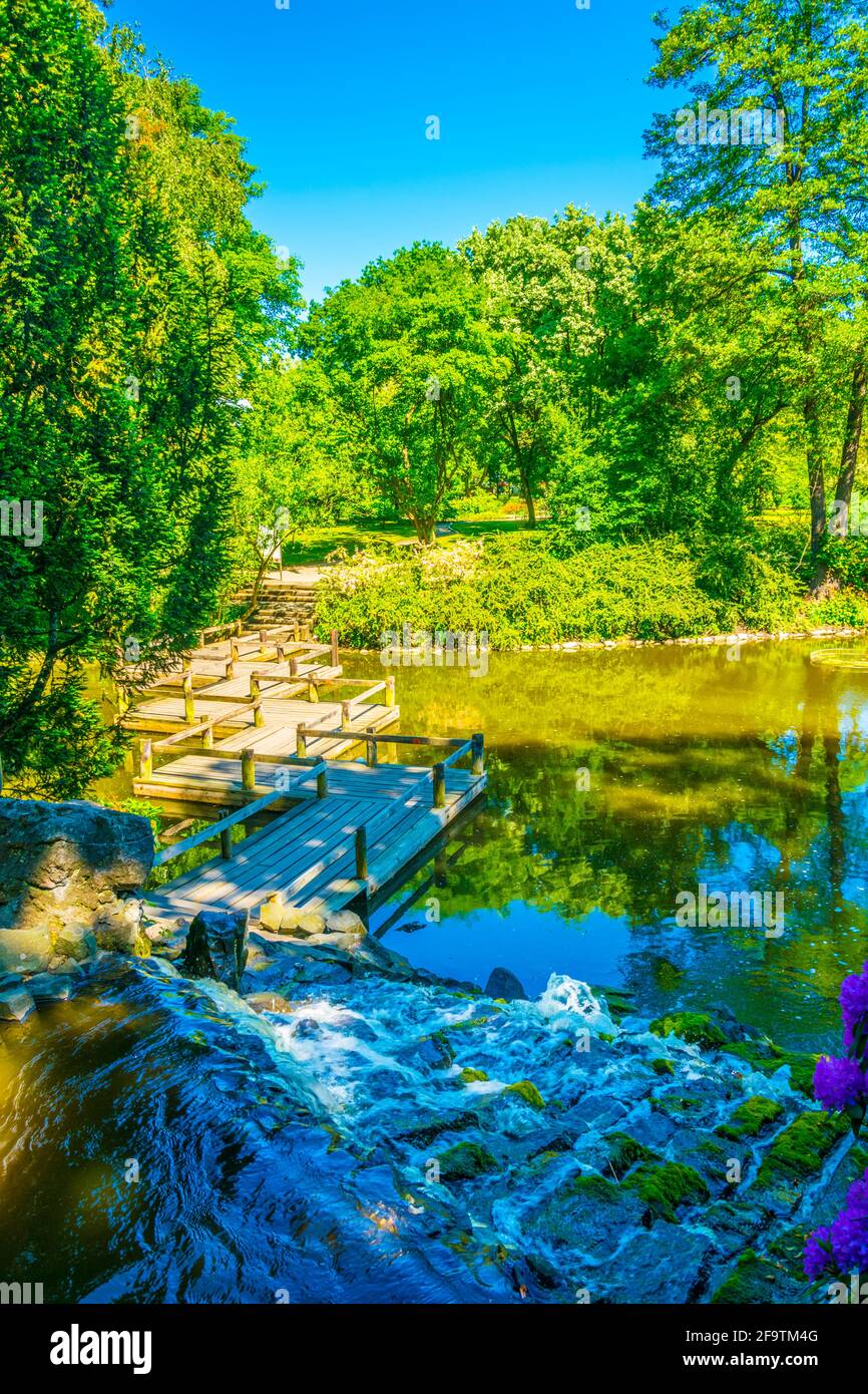 Un lac ornemental à l'intérieur du jardin botanique de l'Université de Wroclaw, Pologne Banque D'Images