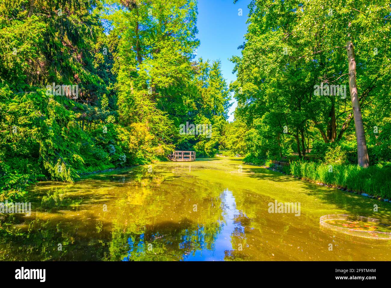 Un lac ornemental à l'intérieur du jardin botanique de l'Université de Wroclaw, Pologne Banque D'Images