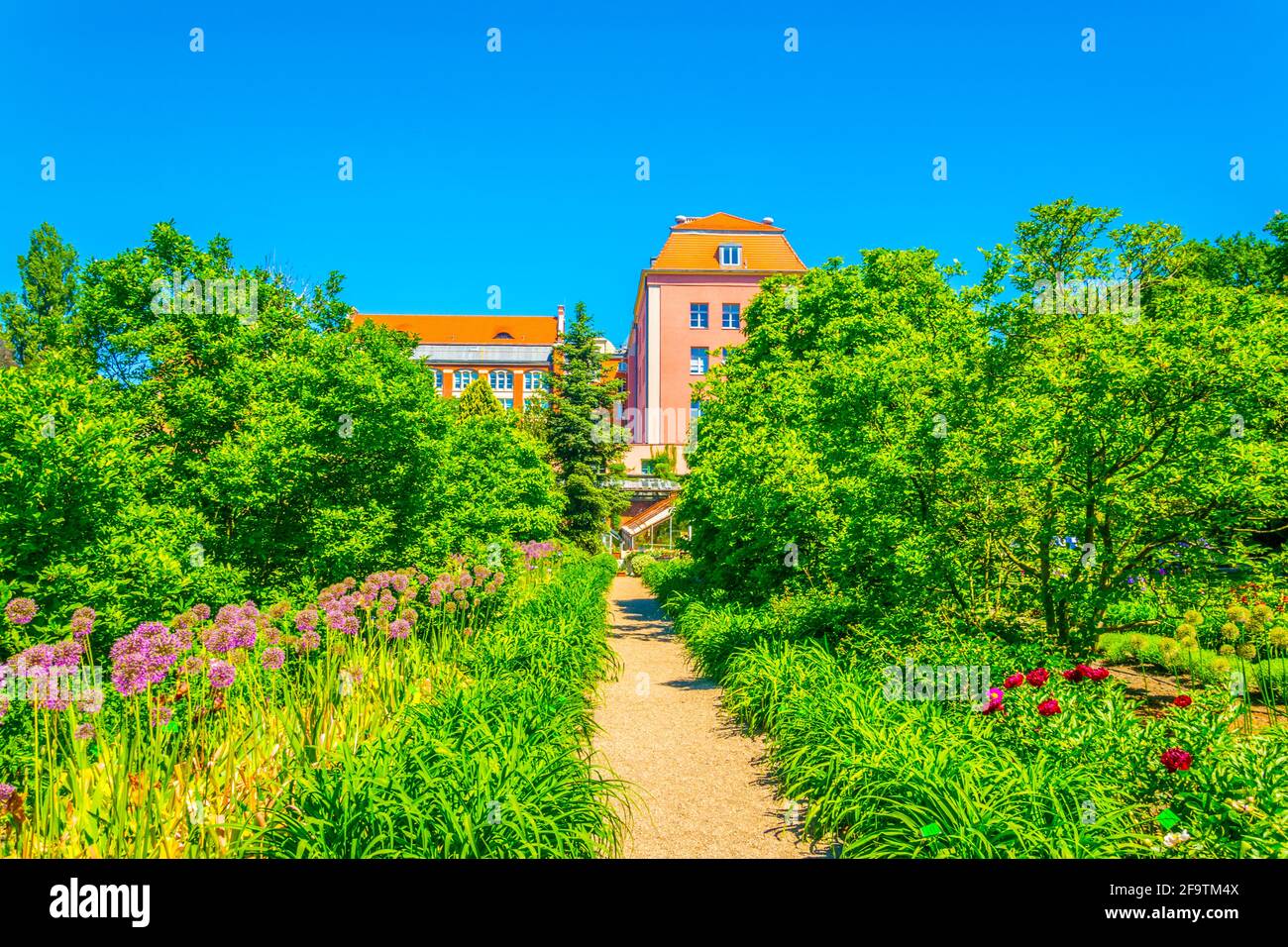 Jardin botanique de l'Université de Wroclaw, Pologne Banque D'Images