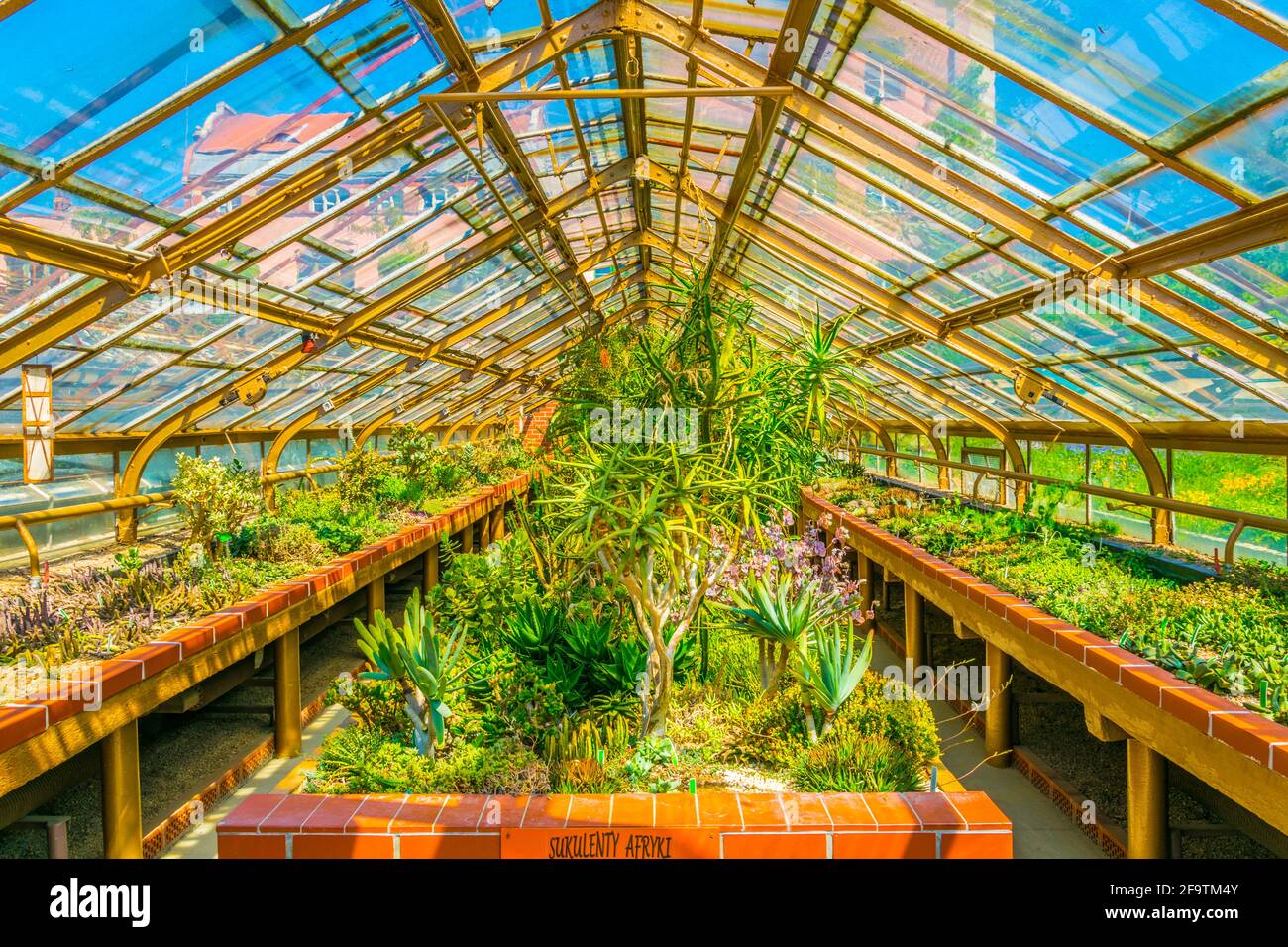 Jardin botanique de l'Université de Wroclaw, Pologne Banque D'Images