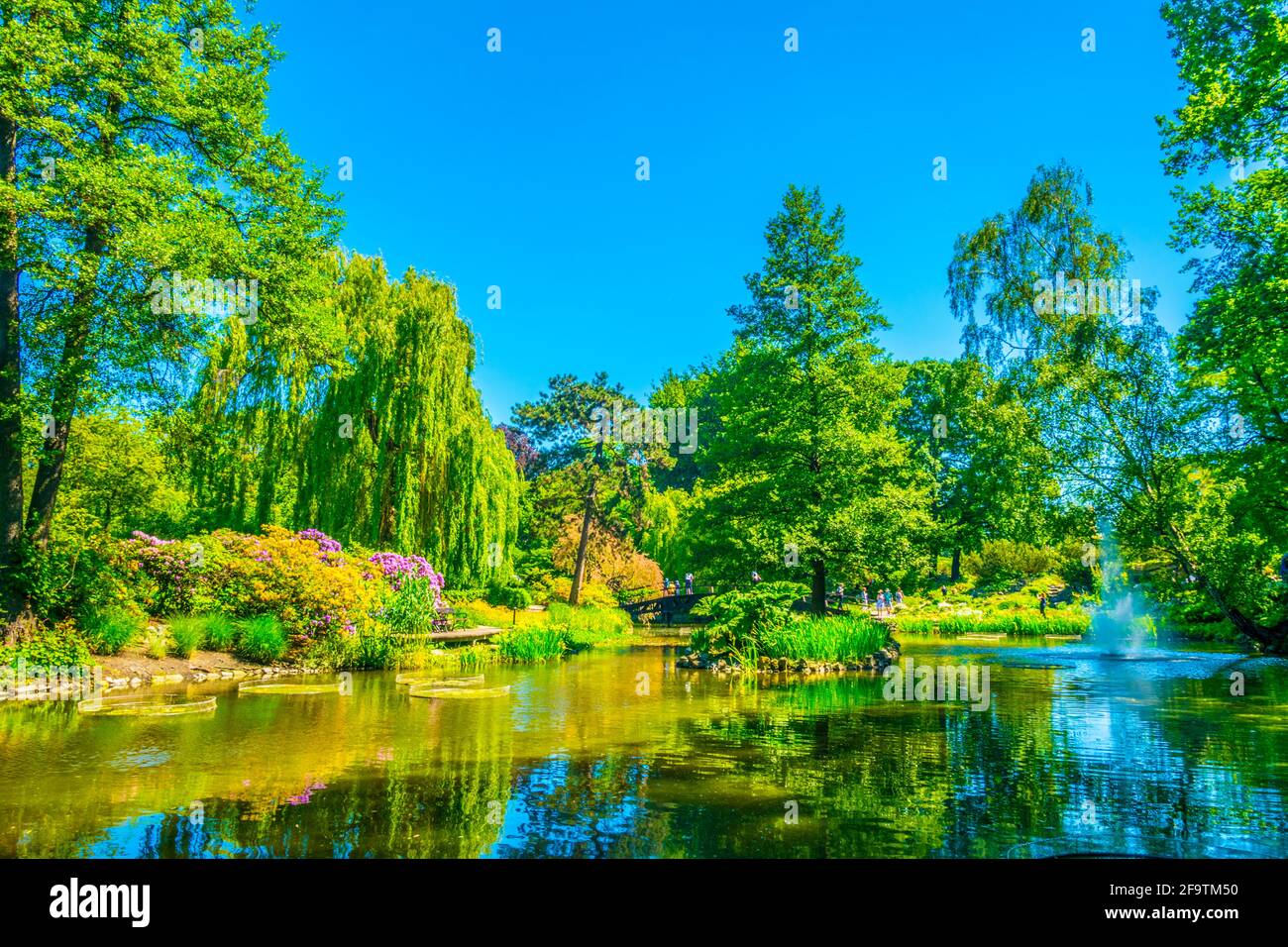 Un lac ornemental à l'intérieur du jardin botanique de l'Université de Wroclaw, Pologne Banque D'Images