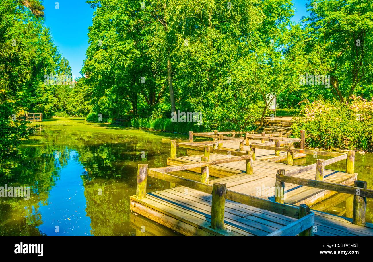 Un lac ornemental à l'intérieur du jardin botanique de l'Université de Wroclaw, Pologne Banque D'Images