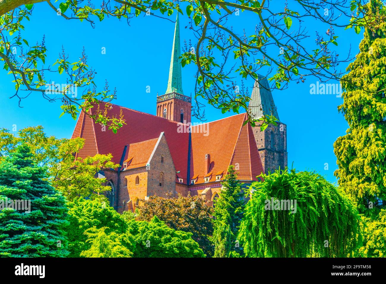 Église de la Sainte-Croix et Saint-Bartholomée vues depuis le jardin botanique de l'université à Wroclaw, en Pologne Banque D'Images