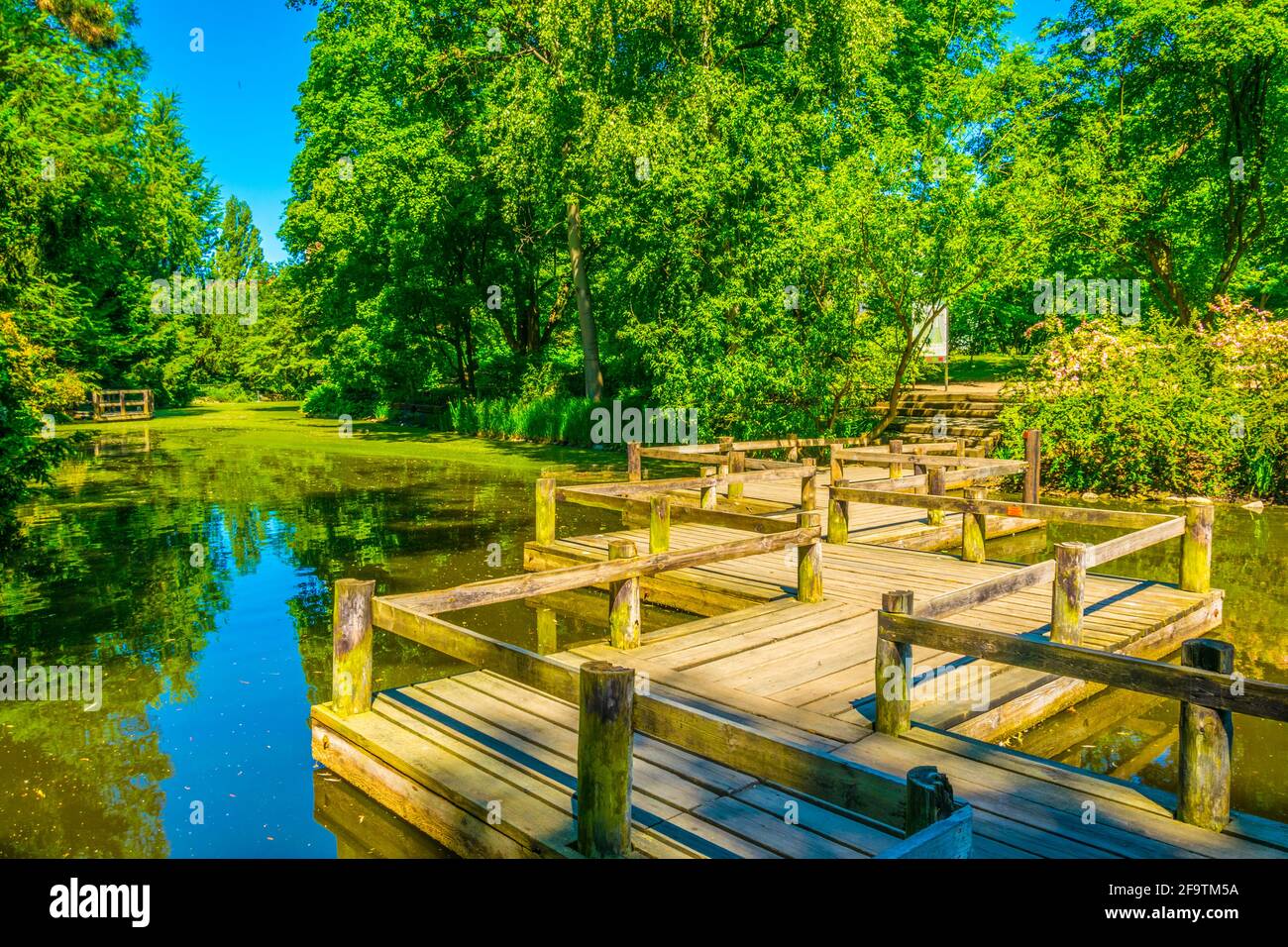 Un lac ornemental à l'intérieur du jardin botanique de l'Université de Wroclaw, Pologne Banque D'Images
