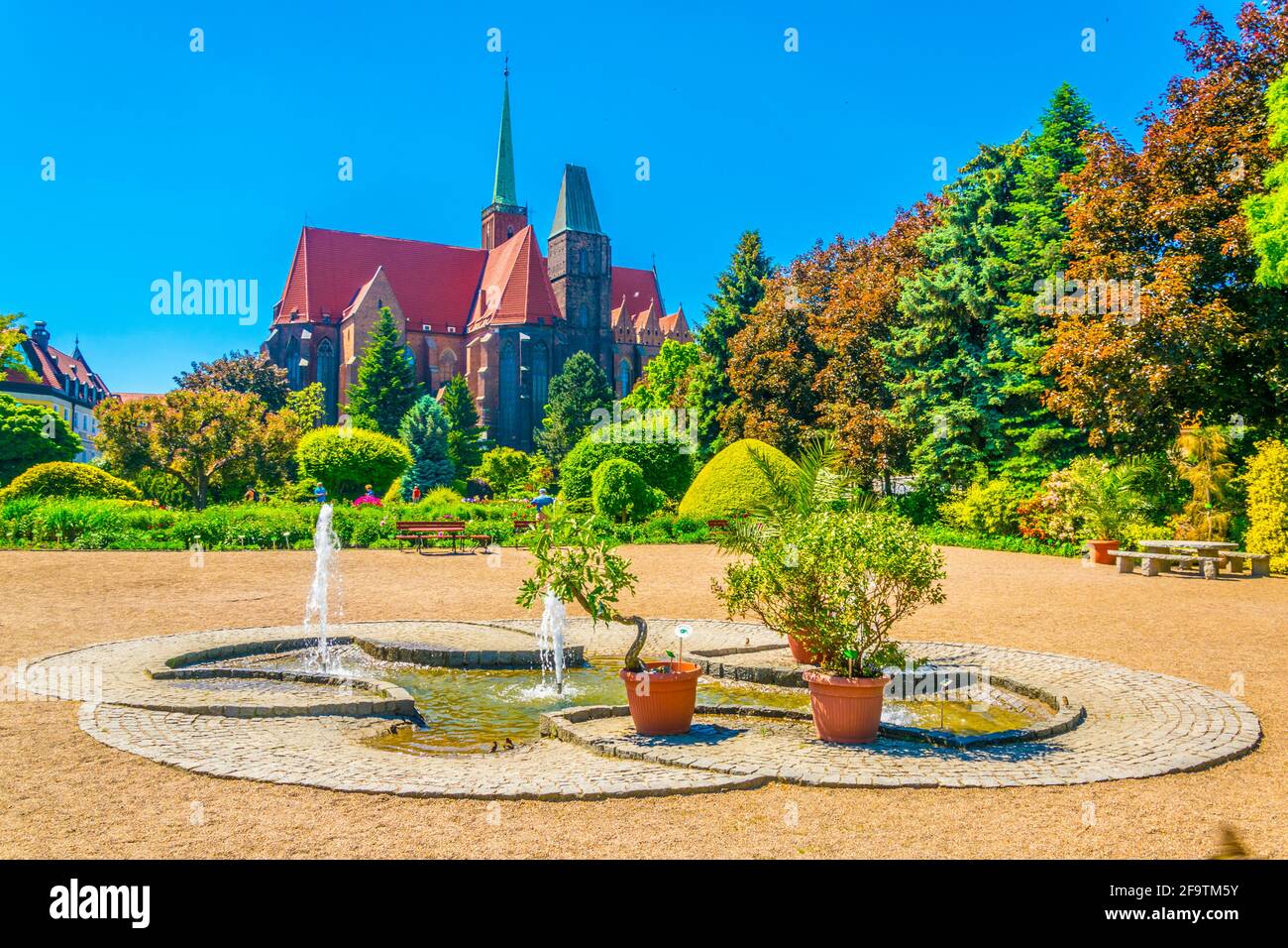 Église de la Sainte-Croix et Saint-Bartholomée vues depuis le jardin botanique de l'université à Wroclaw, en Pologne Banque D'Images