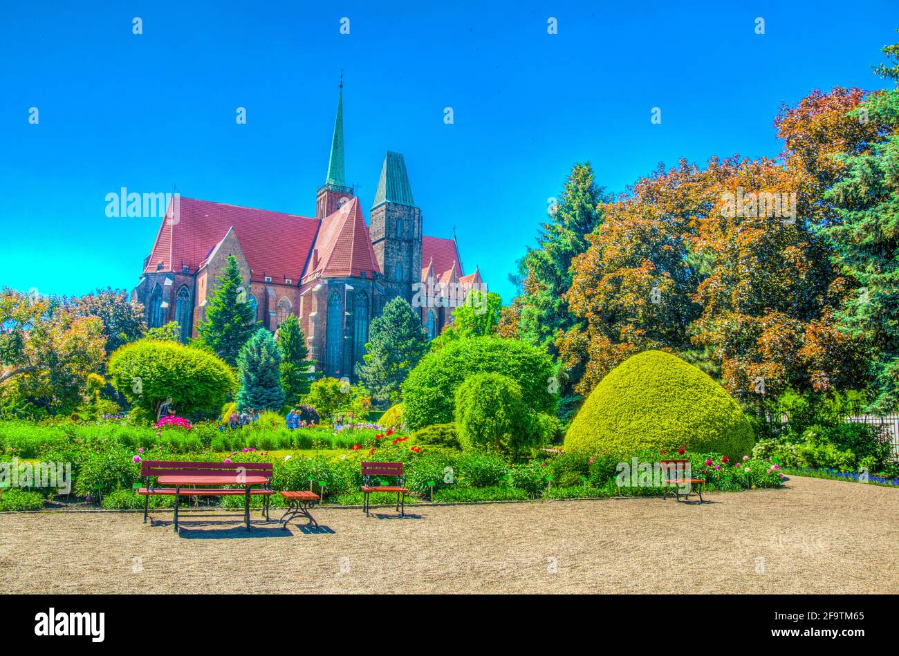 Église de la Sainte-Croix et Saint-Bartholomée vues depuis le jardin botanique de l'université à Wroclaw, en Pologne Banque D'Images
