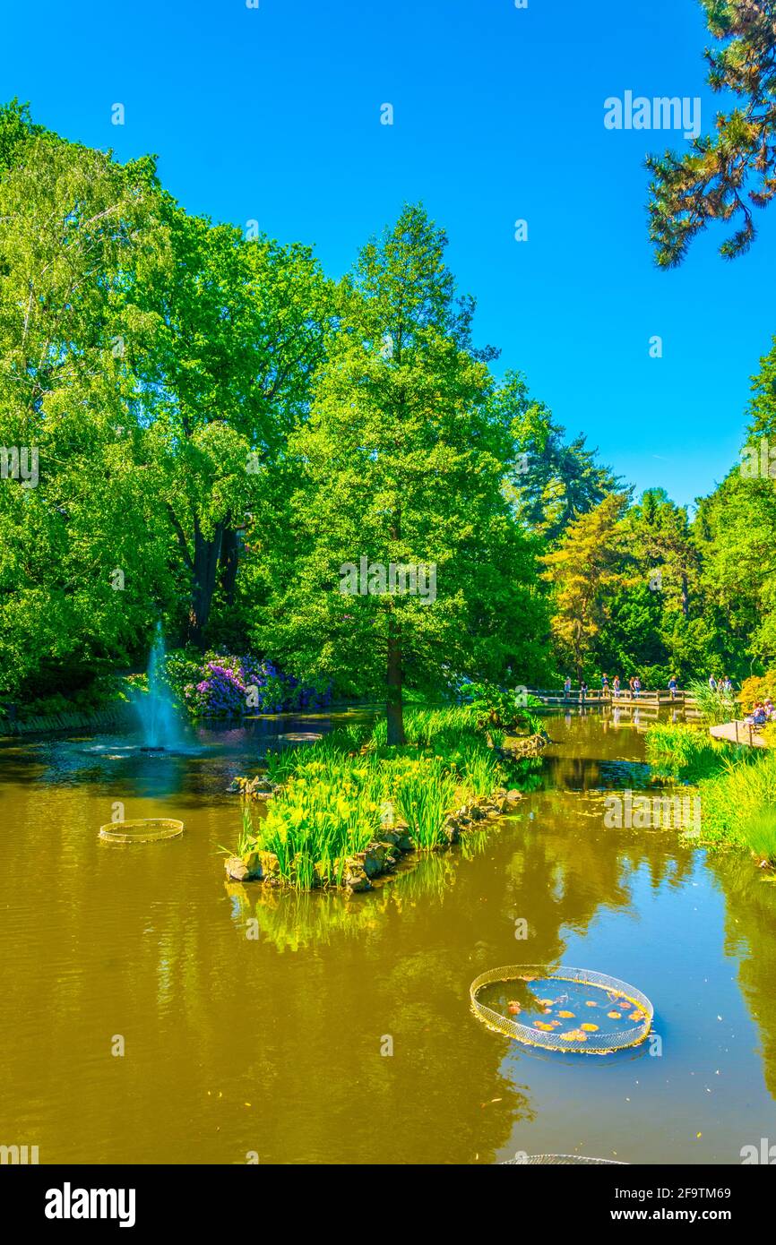 Un lac ornemental à l'intérieur du jardin botanique de l'Université de Wroclaw, Pologne Banque D'Images