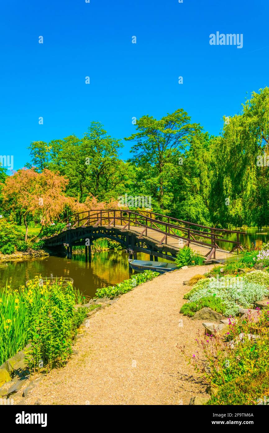 Un lac ornemental à l'intérieur du jardin botanique de l'Université de Wroclaw, Pologne Banque D'Images
