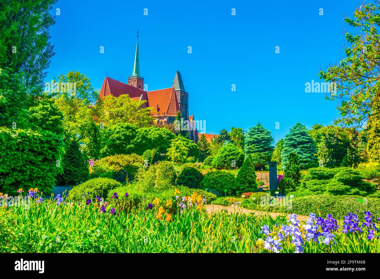 Église de la Sainte-Croix et Saint-Bartholomée vues depuis le jardin botanique de l'université à Wroclaw, en Pologne Banque D'Images
