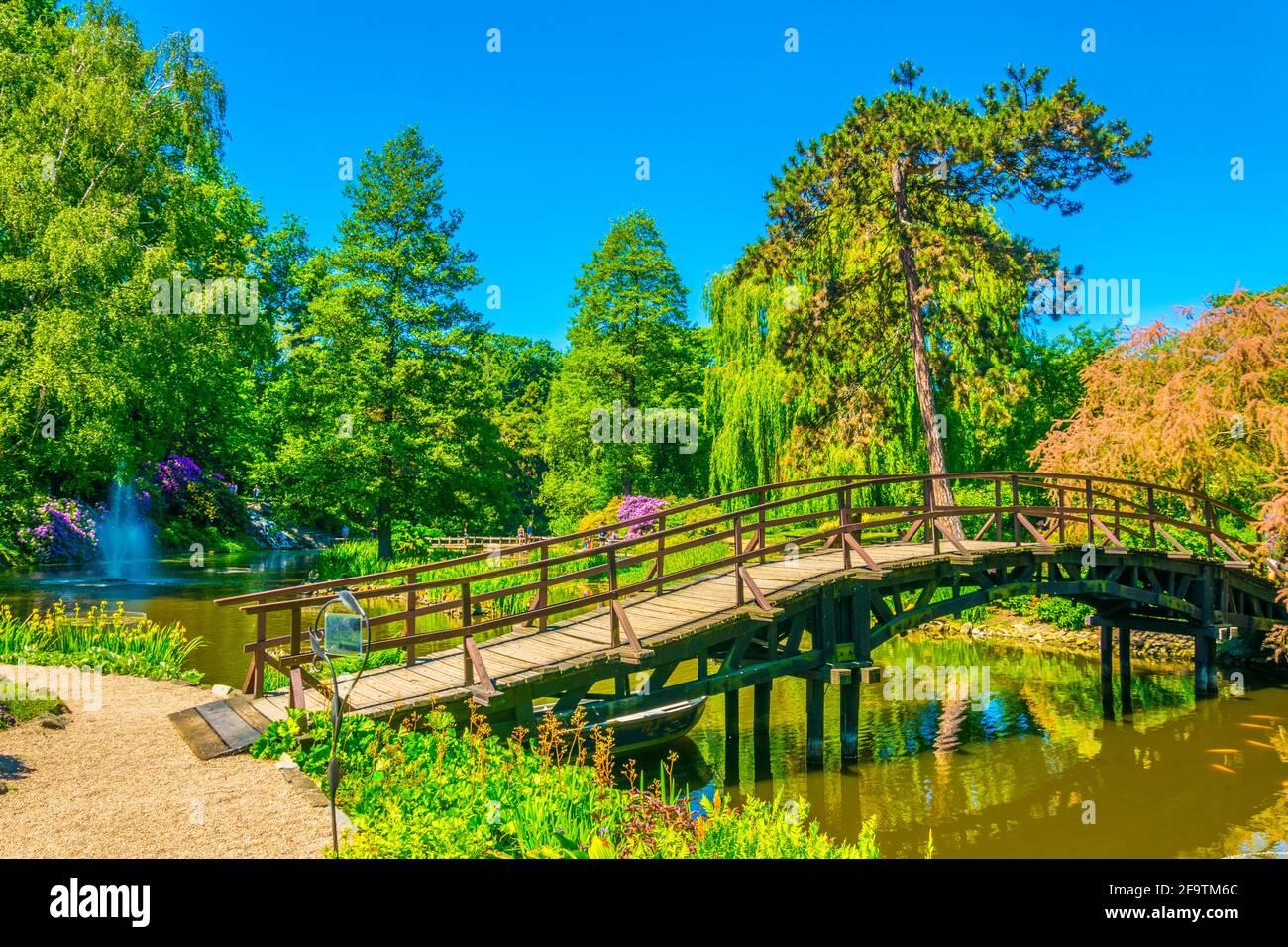 Un lac ornemental à l'intérieur du jardin botanique de l'Université de Wroclaw, Pologne Banque D'Images