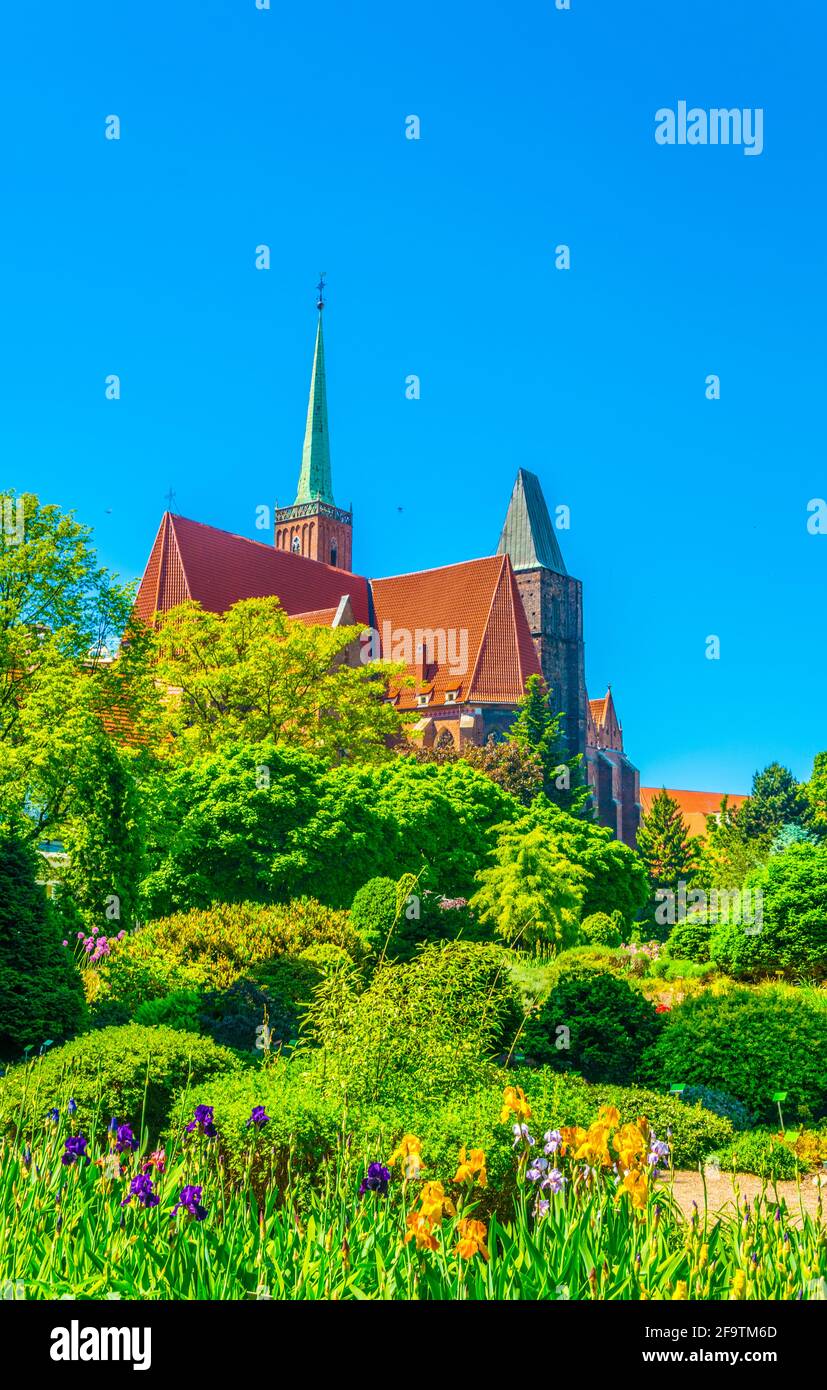 Église de la Sainte-Croix et Saint-Bartholomée vues depuis le jardin botanique de l'université à Wroclaw, en Pologne Banque D'Images