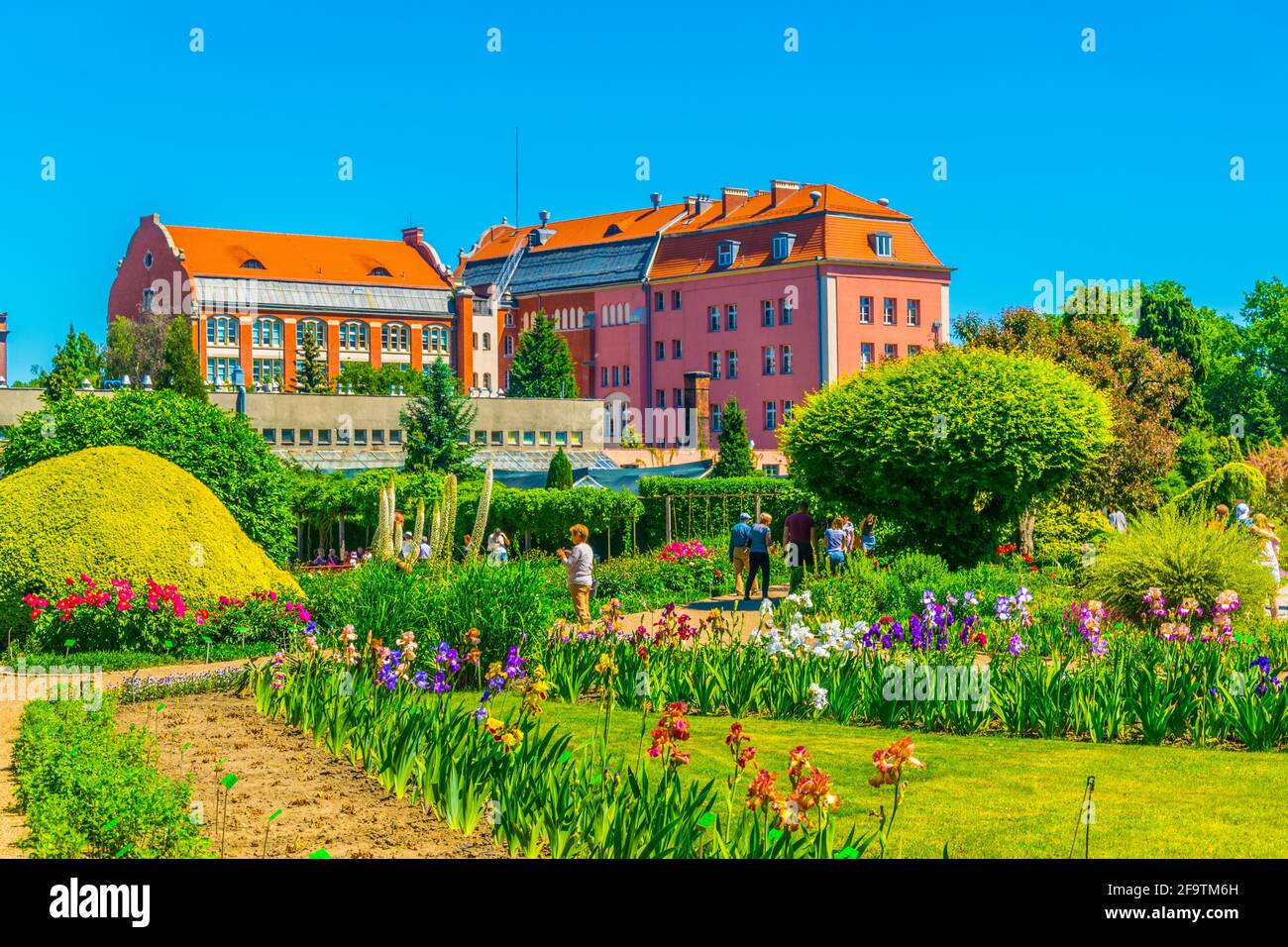 Jardin botanique de l'Université de Wroclaw, Pologne Banque D'Images