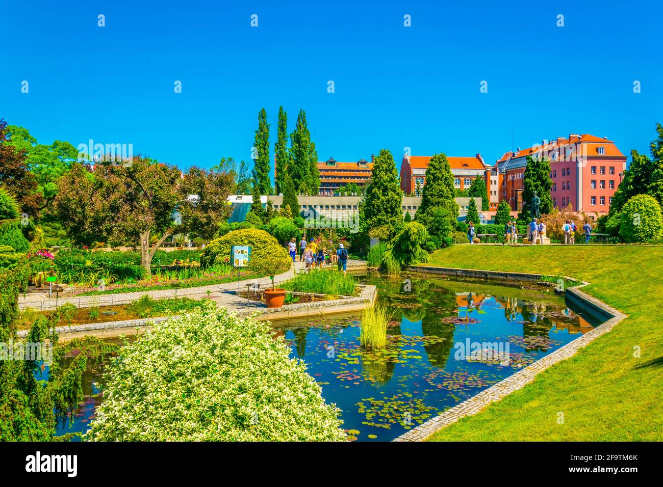 Jardin botanique de l'Université de Wroclaw, Pologne Banque D'Images