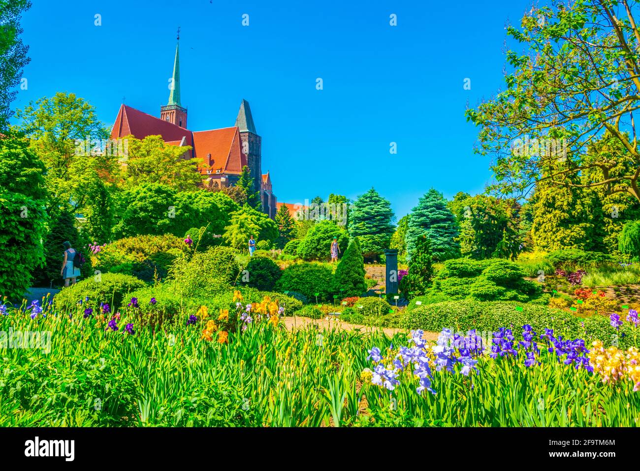 Église de la Sainte-Croix et Saint-Bartholomée vues depuis le jardin botanique de l'université à Wroclaw, en Pologne Banque D'Images