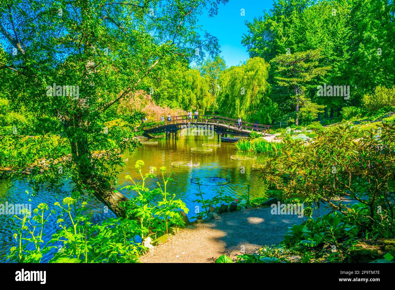 Un lac ornemental à l'intérieur du jardin botanique de l'Université de Wroclaw, Pologne Banque D'Images
