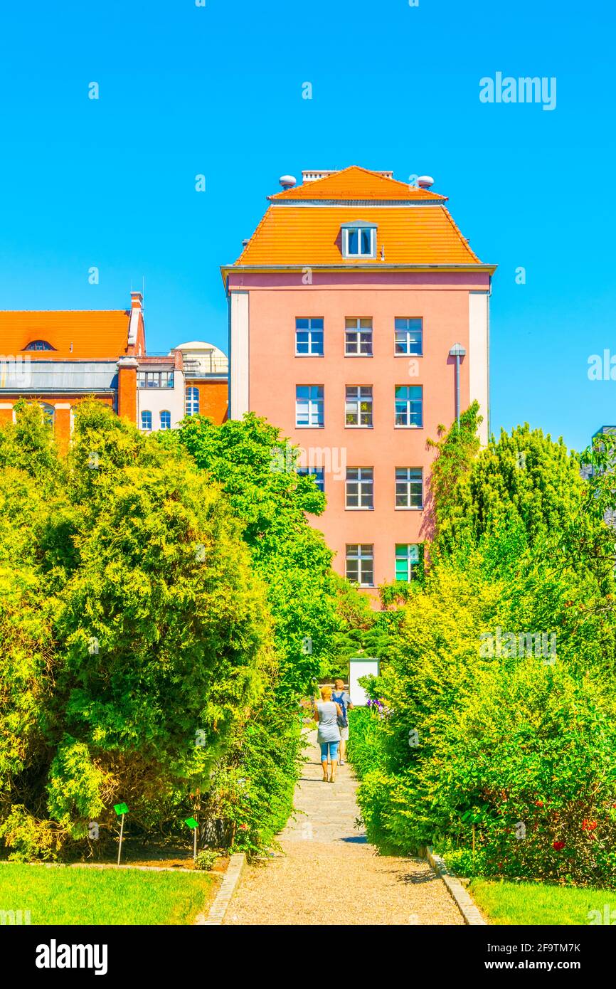 Jardin botanique de l'Université de Wroclaw, Pologne Banque D'Images