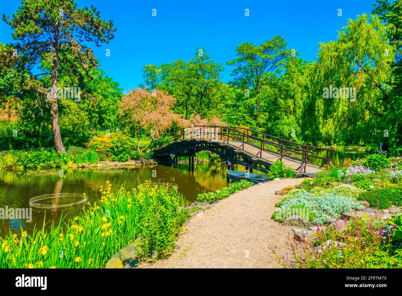 Un lac ornemental à l'intérieur du jardin botanique de l'Université de Wroclaw, Pologne Banque D'Images