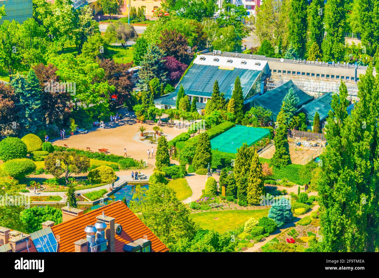 Jardin botanique de l'Université de Wroclaw, Pologne Banque D'Images
