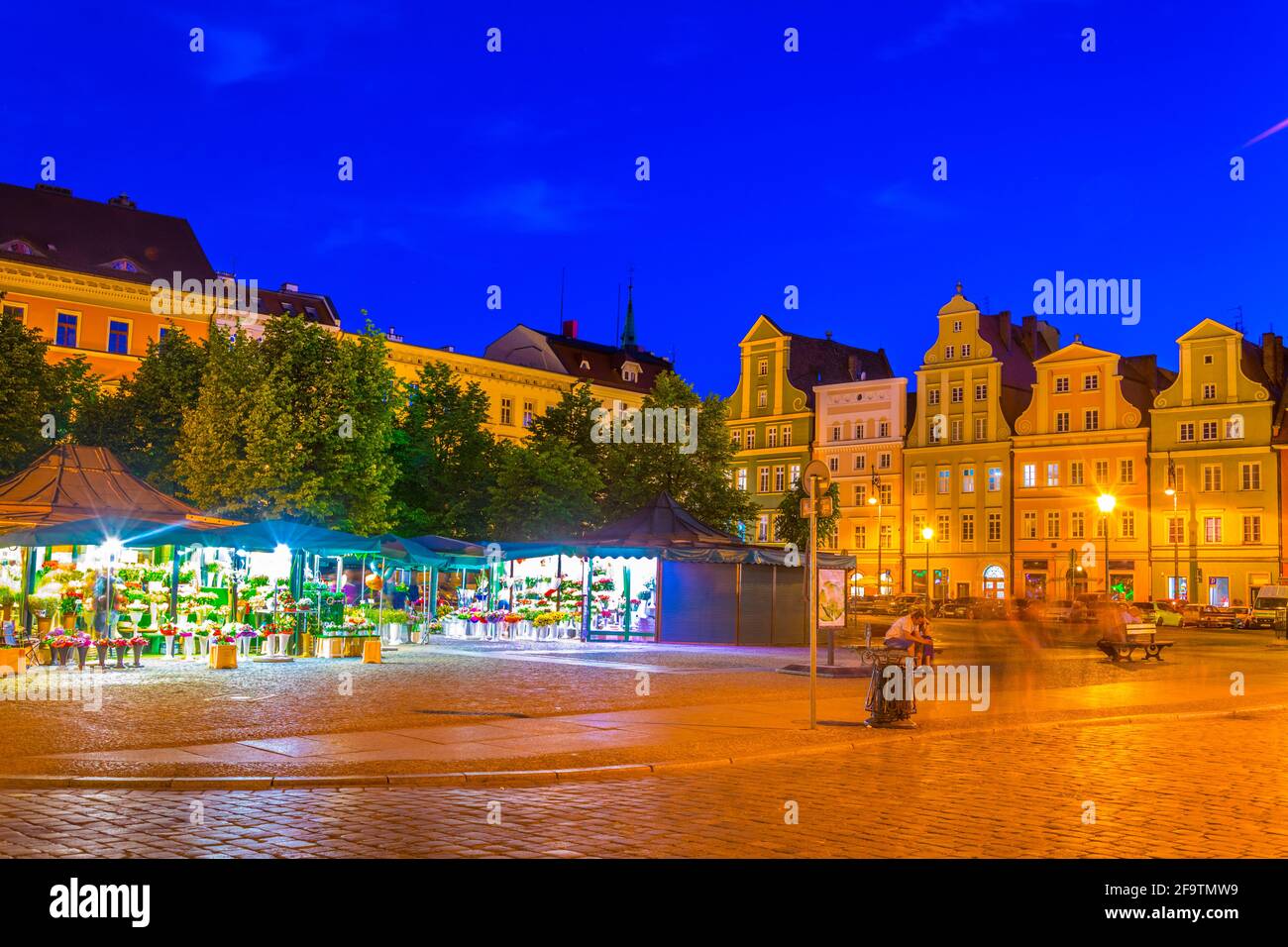 Vue de nuit sur la place Plac Solny dans le centre de Wroclaw, en Pologne Banque D'Images