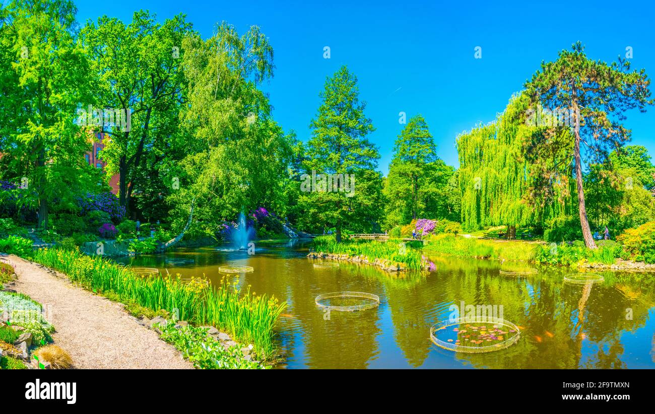 Un lac ornemental à l'intérieur du jardin botanique de l'Université de Wroclaw, Pologne Banque D'Images