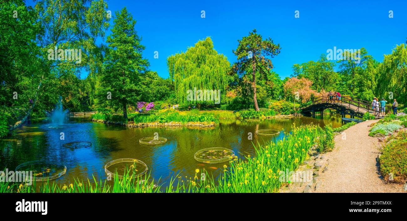 Un lac ornemental à l'intérieur du jardin botanique de l'Université de Wroclaw, Pologne Banque D'Images