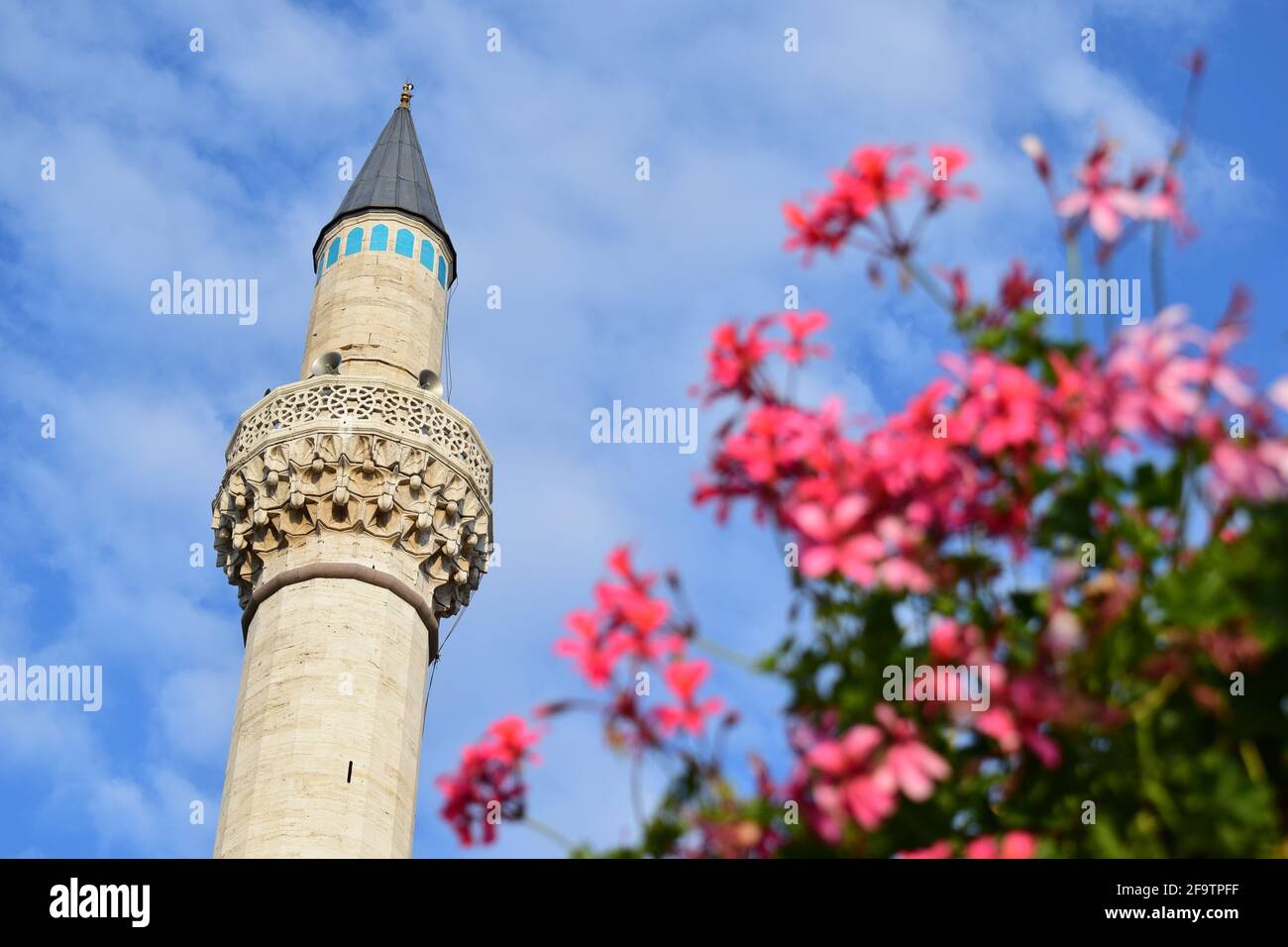 Fleurs roses floues et un des minarets de la mosquée Selimiye du XVIe siècle à Konya, Turquie. Banque D'Images