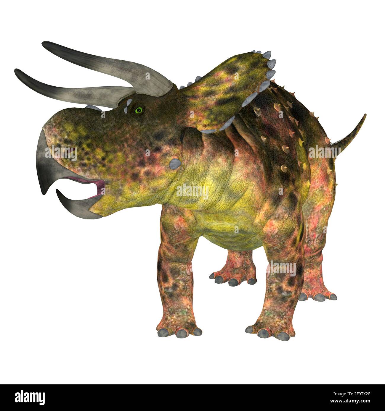 Nasutoceratops était un dinosaure hervivore cératopsid qui vivait dans l'Utah, aux États-Unis pendant la période du Crétacé. Banque D'Images