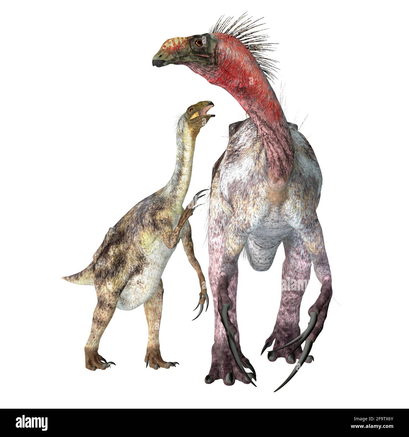 Therizinosaurus était un dinosaure carnivore théropode qui vivait en